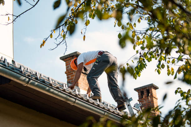 Best Metal Roofing Contractor  in Warwick, RI